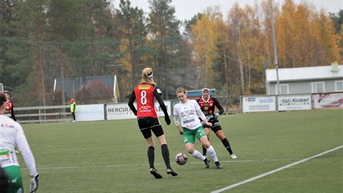 IMG_3315.JPG