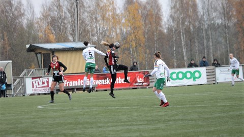 IMG_3325.JPG