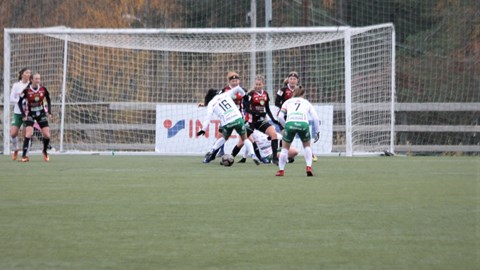 IMG_3331.JPG
