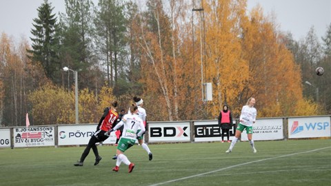 IMG_3335.JPG